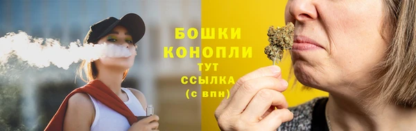 PSILOCYBIN Беломорск